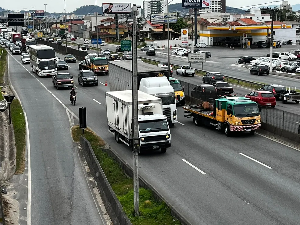 Remoção do cavalo da rodovia deixou trânsito lento — Foto: Juan Todescatt/NSC TV