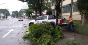 Chuva provoca alagamentos, quedas de árvores e muros em Jaraguá do Sul