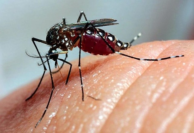 Jaraguá confirma sexta morte por dengue e mais de 600 novos casos em três dias