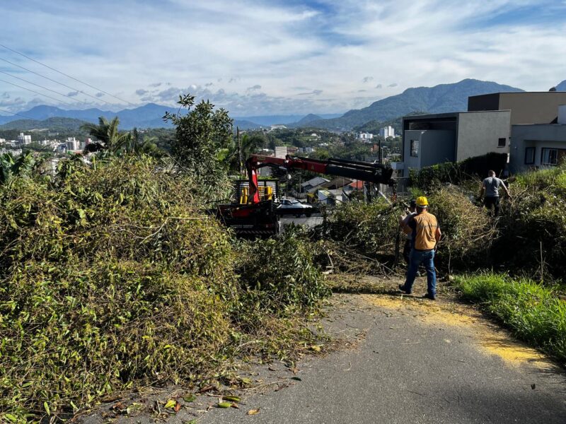 Rajada de vento que atingiu bairros de Jaraguá do Sul chegou a 65 km/h