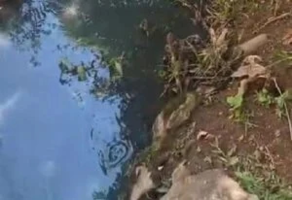Fujama investiga despejo de esgoto em córrego no bairro Rio da Luz