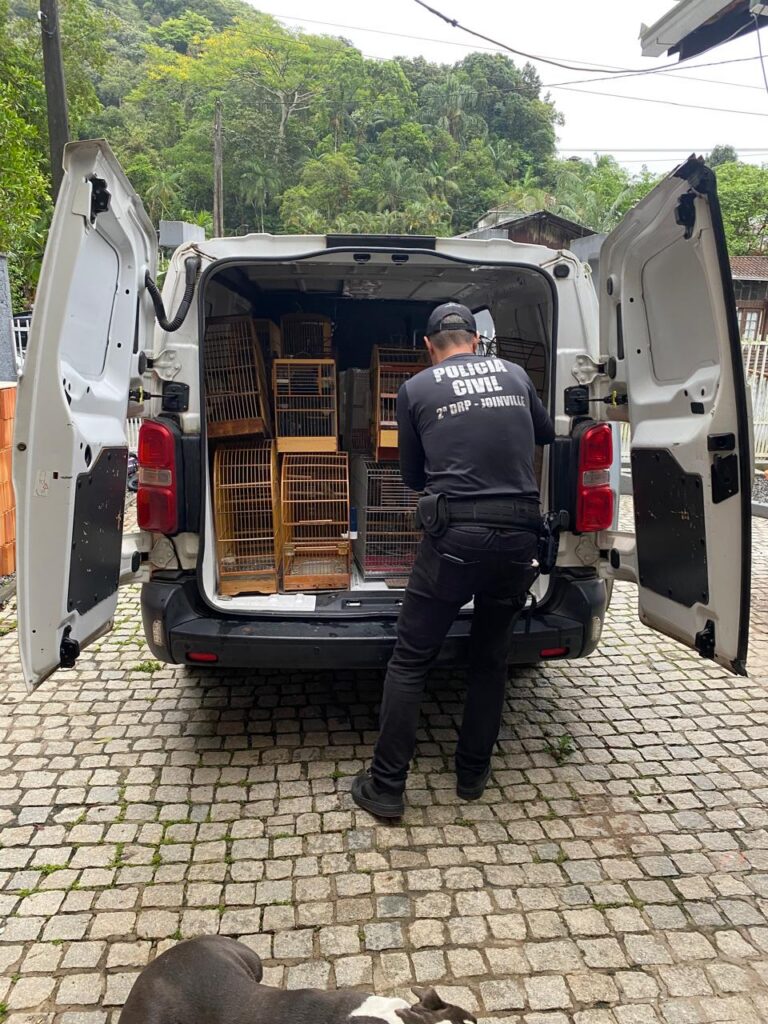Operação policial apreende mais de 200 aves em Joinville
