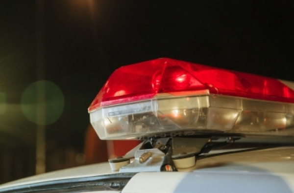 Homem é preso após ser flagrado espancando cachorro em Joinville