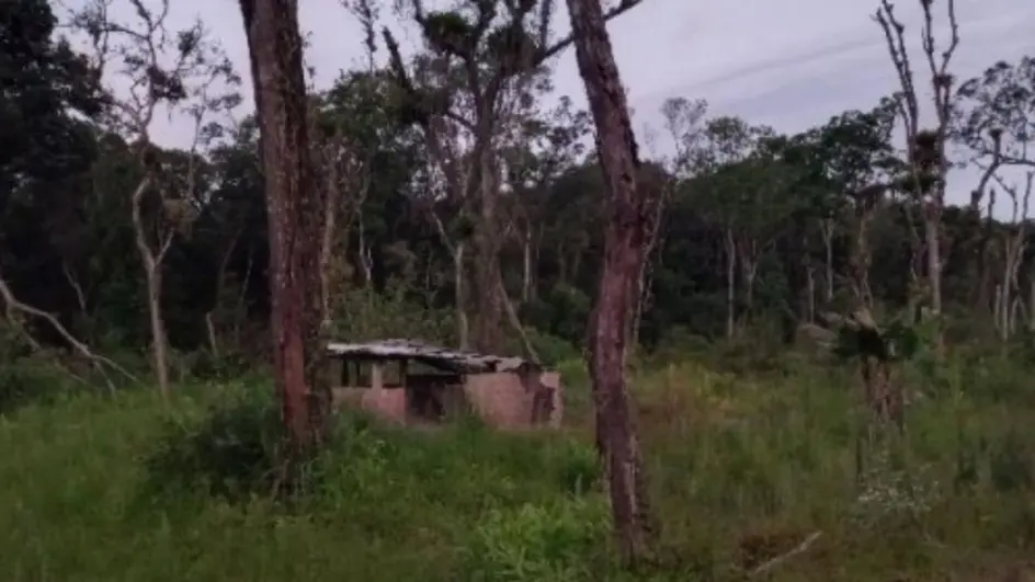 Esposa encontra corpo do marido carbonizado em chácara de São Francisco do Sul