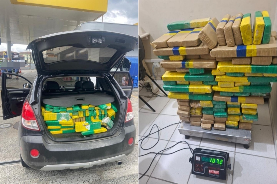 Polícia Militar apreende 200 kg de maconha no Norte de Santa Catarina