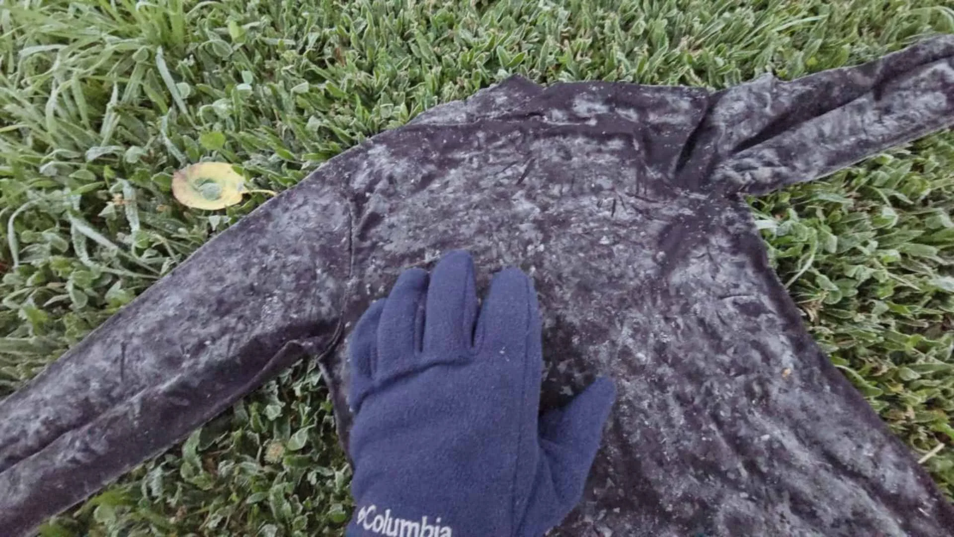 Massa de ar frio derruba termômetros e provoca geada em diversas regiões de Santa Catarina