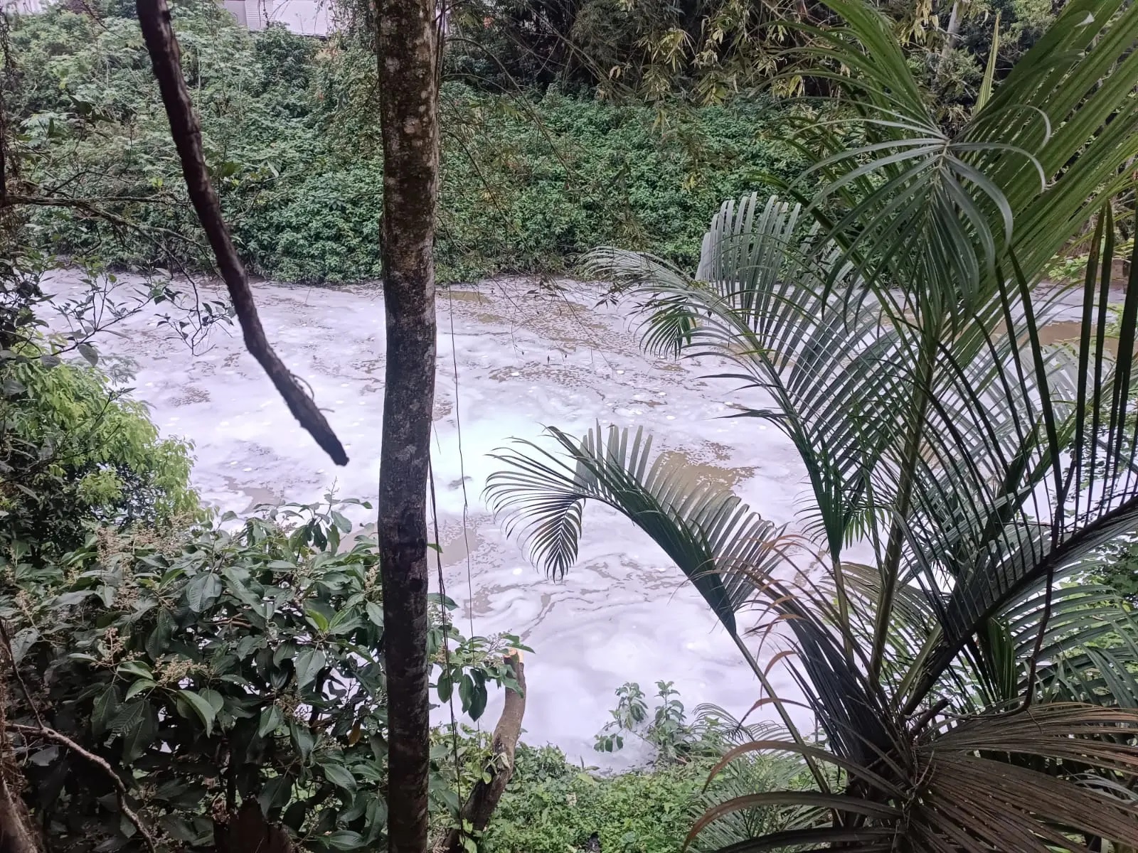 Fujama coleta amostras após identificar espuma no Rio Jaraguá, em Jaraguá do Sul