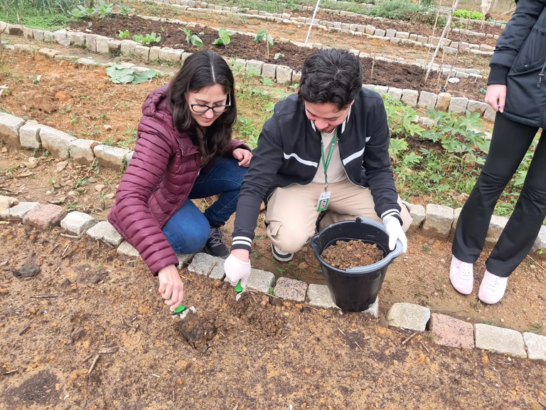 Hortas comunitárias de Jaraguá do Sul passam por análise de solo em parceria com o IFSC