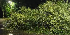 Volume de chuva passa de 40 mm e causa transtornos em Jaraguá do Sul