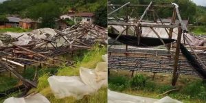 Quedas de árvores e rompimento de rede elétrica afetam Rio Cerro I em Jaraguá do Sul