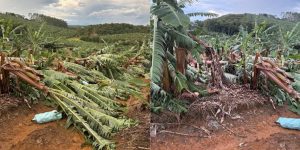 Temporal com granizo e ventos fortes causa prejuízos em São João do Itaperiú