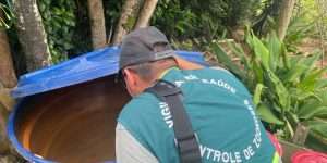 Jaraguá do Sul inspeciona mais de 4 mil imóveis em ação contra dengue, zika e chikungunya