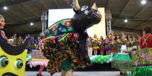32ª temporada do Boi de Mamão começa segunda-feira em Jaraguá do Sul