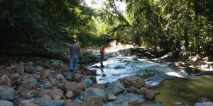 Derramamento de agrotóxico pode ter causado mortandade de peixes em Corupá