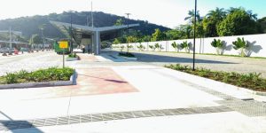 Lançado novo edital do Programa Adote o Verde em Jaraguá do Sul