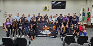 Projeto que declara de utilidade pública a Associação Guaramirim Volleyball Club é aprovado