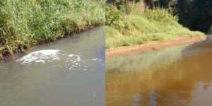 Contaminação no Rio Itapocuzinho interrompe captação de água em Guaramirim pela segunda semana seguida
