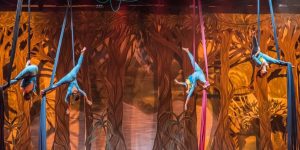 Abertas as inscrições para o 31º Jaraguá em Dança