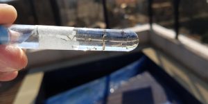 Boletim da Dengue: Saúde registra aumento no número de focos em Jaraguá do Sul