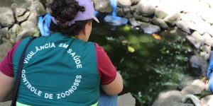 Jaraguá do Sul registra o primeiro caso de dengue em 2024