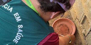 Boletim da dengue: Números da doença mantêm elevação