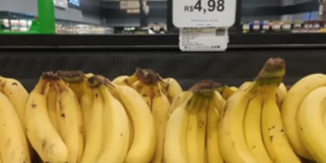 1.000%: Produtores ganham menos de 50 centavos por quilo de banana