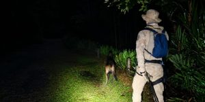 Cerco policial termina com prisão e apreensão de envolvidos em tentativa de latrocínio no Planalto norte