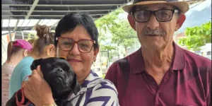 Nove animais ganham novos lares em feira de adoção da Fujama em Jaraguá do Sul