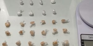 Polícia Militar prende homem por tráfico de drogas em Guaramirim