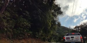 Acesso ao Molha será interditado para podas e cortes de árvores no sábado