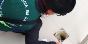 Dengue: Jaraguá do Sul confirma a sétima morte e mais de mil casos notificados