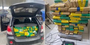 Polícia Militar apreende 200 kg de maconha no Norte de Santa Catarina