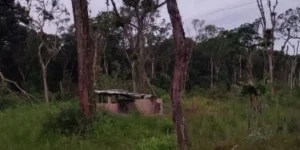 Esposa encontra corpo do marido carbonizado em chácara de São Francisco do Sul