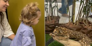 Fujama 18 anos: exposição segue até o dia 31 no Jaraguá Park Shopping