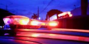 Polícia localiza pés de maconha no Bairro Caixa D’água