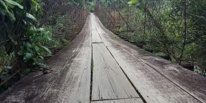 Ponte Pênsil no Garibaldi, em Jaraguá, ficará interditada por 120 dias