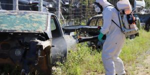 Saiba quais ruas de Jaraguá estão recebendo aplicação de fumacê