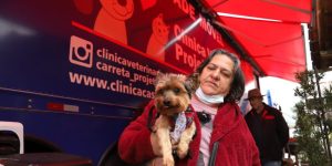 Bairros Três Rios do Norte e Rau recebem ação de castração gratuita de animais nesta terça e quarta