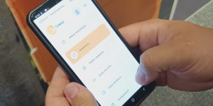 Celesc inicia, nesta terça-feira, transição para o novo sistema comercial, o Conecte