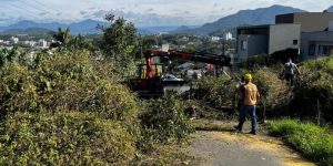 Rajada de vento que atingiu bairros de Jaraguá do Sul chegou a 65 km/h