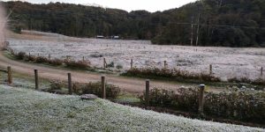 Zero grau: Região registra uma das mais baixas temperaturas da história