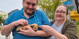 Dez filhotes ganham novos lares após Feira de Adoção em Jaraguá do Sul
