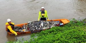 Força-tarefa estima ter recolhido 2 toneladas de peixes do Rio Jaraguá