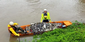 Fujama anuncia multas de R$ 700 mil por contaminação de rios