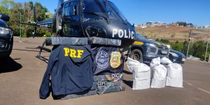 Operação policial prende cinco e apreende 252 quilos de maconha no oeste