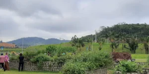 Oficina promove revitalização do Jardim Sensorial do Parque da Inovação