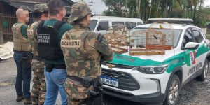 Operação combate crimes contra a fauna em SC