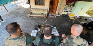 Corupá é alvo de operação contra caça ilegal de animais silvestres