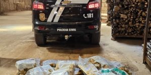 Polícia Civil prende 21 pessoas na Operação Narke realizada em 15 cidades catarinenses