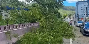 Ciclone extratropical: Defesa Civil registrou 16 ocorrências nas últimas horas em Jaraguá do Sul